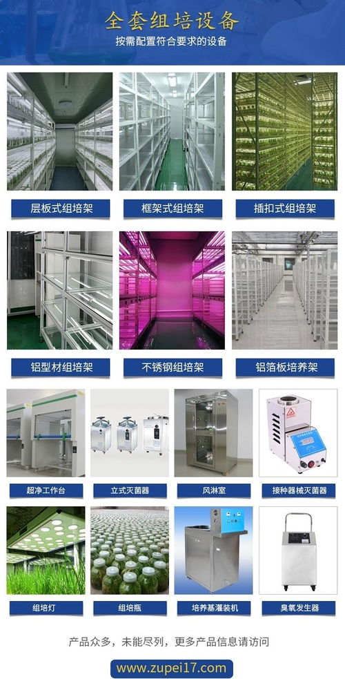 组培实验室规划与预算 贵州设计图与云南设备清单解析